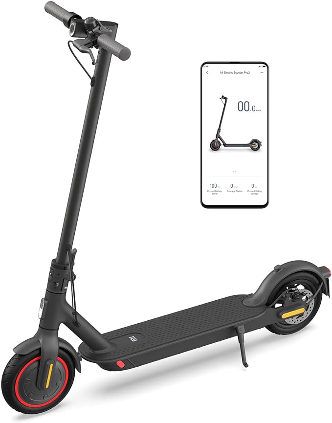 Elektroroller Pro 2